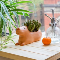 Cappy the Capybara Planter Large